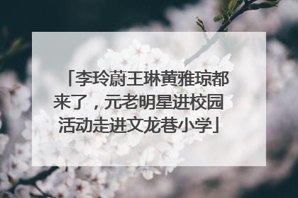 李玲蔚王琳黄雅琼都来了，元老明星进校园活动走进文龙巷小学