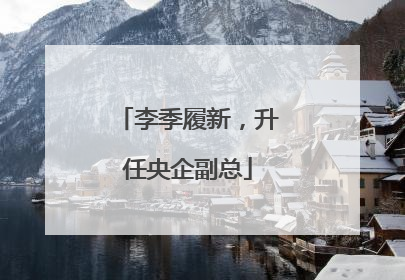 李季履新，升任央企副总