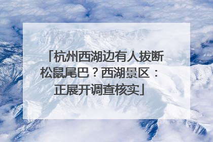 杭州西湖边有人拔断松鼠尾巴？西湖景区：正展开调查核实