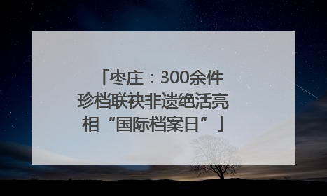 枣庄：300余件珍档联袂非遗绝活亮相“国际档案日”