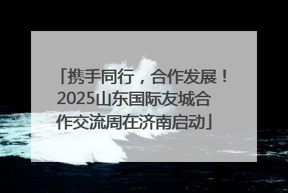 携手同行，合作发展！2025山东国际友城合作交流周在济南启动