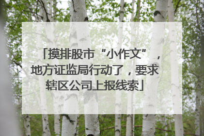 摸排股市“小作文”，地方证监局行动了，要求辖区公司上报线索