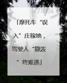 摩托车“误入”庄稼地，驾驶人“撒泼”终难逃