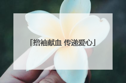 撸袖献血 传递爱心