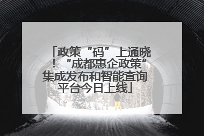 政策“码”上通晓！“成都惠企政策”集成发布和智能查询平台今日上线
