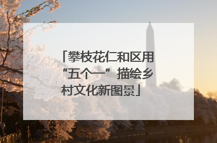 攀枝花仁和区用“五个一”描绘乡村文化新图景