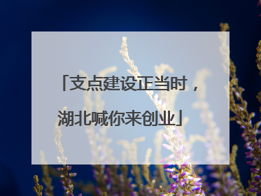 支点建设正当时，湖北喊你来创业
