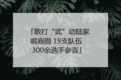 散打“武”动陆家嘴商圈 19支队伍300余选手参赛