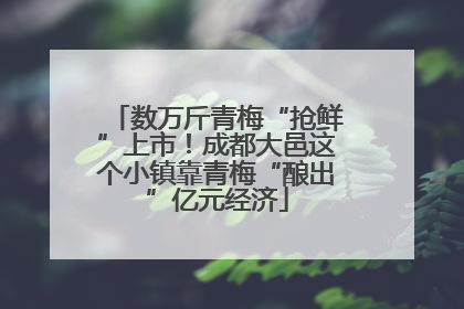 数万斤青梅“抢鲜”上市！成都大邑这个小镇靠青梅“酿出”亿元经济