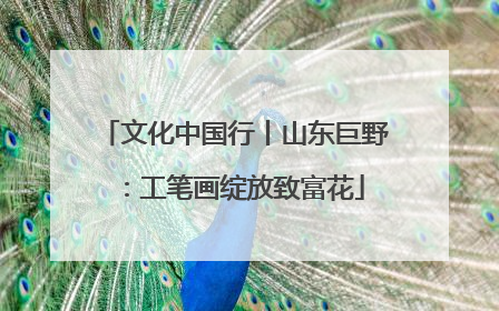文化中国行丨山东巨野：工笔画绽放致富花
