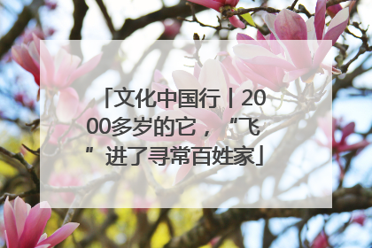文化中国行丨2000多岁的它，“飞”进了寻常百姓家
