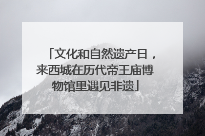 文化和自然遗产日，来西城在历代帝王庙博物馆里遇见非遗