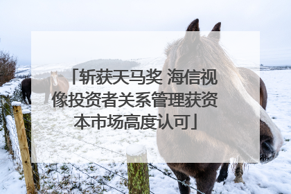 斩获天马奖 海信视像投资者关系管理获资本市场高度认可