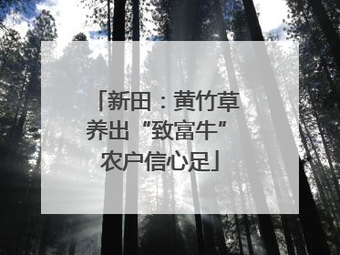 新田：黄竹草养出“致富牛” 农户信心足