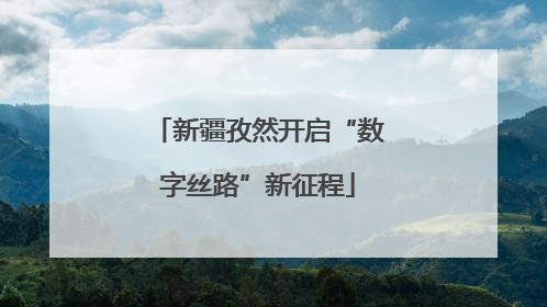 新疆孜然开启“数字丝路”新征程
