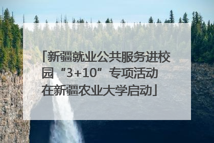 新疆就业公共服务进校园“3+10”专项活动在新疆农业大学启动