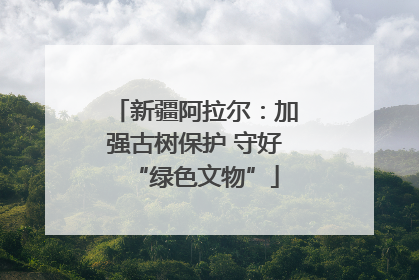 新疆阿拉尔：加强古树保护 守好“绿色文物”