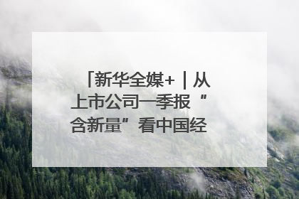 新华全媒+｜从上市公司一季报“含新量”看中国经济发展向“新”