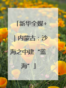 新华全媒+｜内蒙古：沙海之中建“蓝海”