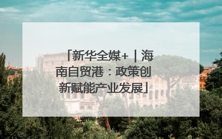 新华全媒+｜海南自贸港：政策创新赋能产业发展