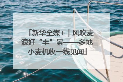 新华全媒+｜风吹麦浪好“丰”景——多地小麦机收一线见闻
