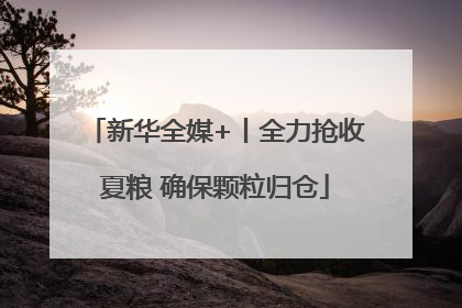 新华全媒+丨全力抢收夏粮 确保颗粒归仓