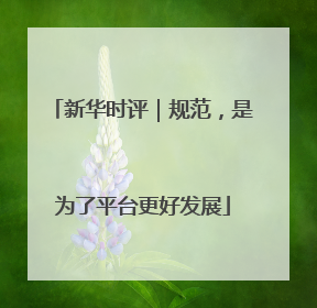 新华时评｜规范，是为了平台更好发展