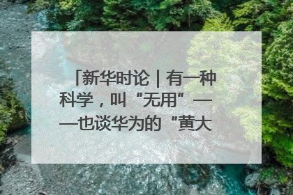 新华时论｜有一种科学，叫“无用”——也谈华为的“黄大年茶思屋”