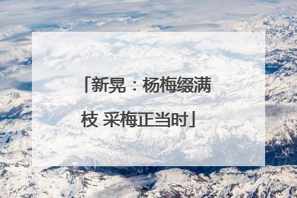 新晃：杨梅缀满枝 采梅正当时