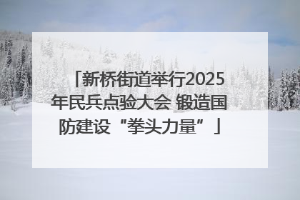 新桥街道举行2025年民兵点验大会 锻造国防建设“拳头力量”