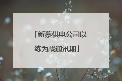新蔡供电公司以练为战迎汛期