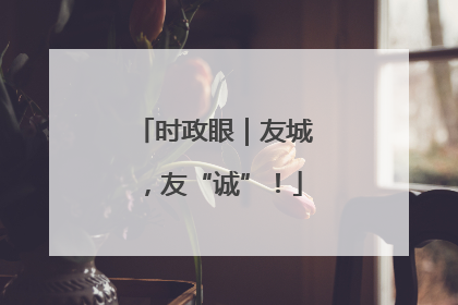 时政眼｜友城，友“诚”！