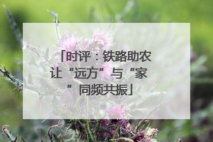 时评：铁路助农让“远方”与“家”同频共振