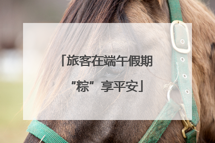 旅客在端午假期“粽”享平安