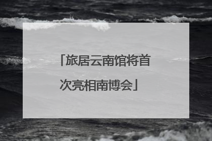 旅居云南馆将首次亮相南博会