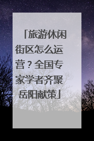 旅游休闲街区怎么运营？全国专家学者齐聚岳阳献策