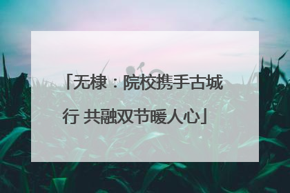 无棣：院校携手古城行 共融双节暖人心