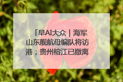 早AI大众｜海军山东舰航母编队将访港；贵州榕江已撤离转移群众超4万人