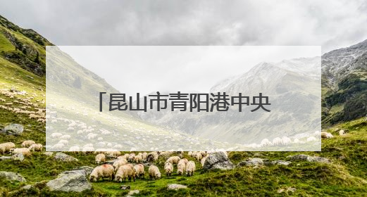 昆山市青阳港中央商务区暨重点片区推介合作发布会举行