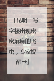 昆明一写字楼出现密密麻麻的飞虫，专家提醒→