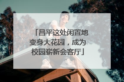 昌平这处闲置地变身大花园，成为校园崭新会客厅