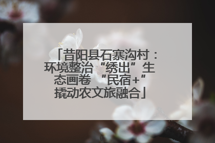 昔阳县石寨沟村：环境整治“绣出”生态画卷 “民宿+”撬动农文旅融合