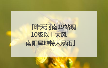昨天河南19站现10级以上大风  南阳局地特大暴雨