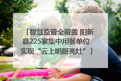 智慧监管全覆盖 阳新县225家集中用餐单位实现“云上明厨亮灶”