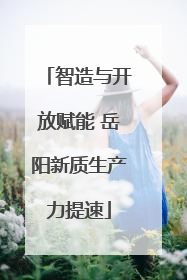 智造与开放赋能 岳阳新质生产力提速