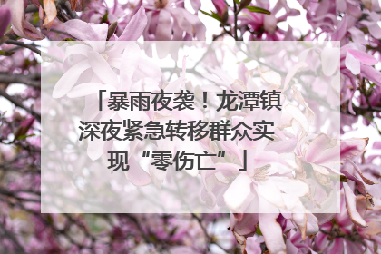 暴雨夜袭！龙潭镇深夜紧急转移群众实现“零伤亡”
