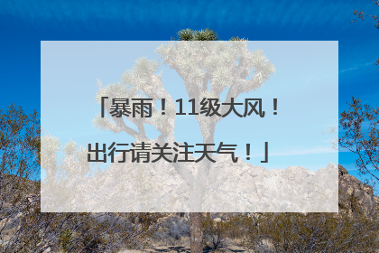 暴雨！11级大风！出行请关注天气！