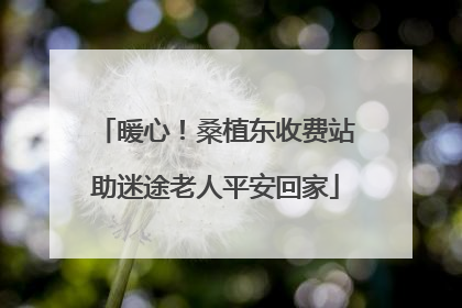 暖心！桑植东收费站助迷途老人平安回家