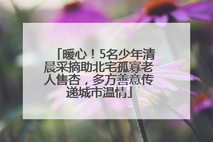 暖心！5名少年清晨采摘助北宅孤寡老人售杏，多方善意传递城市温情