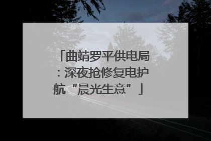 曲靖罗平供电局：深夜抢修复电护航“晨光生意”
